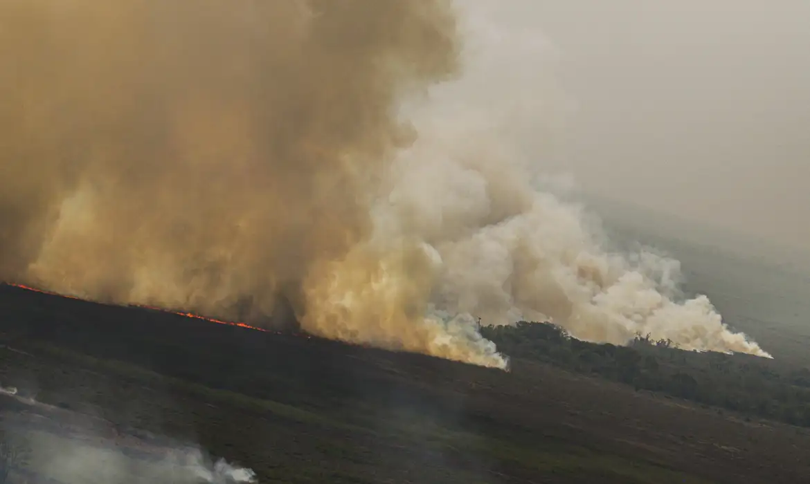 Foto: Diário de Suzano