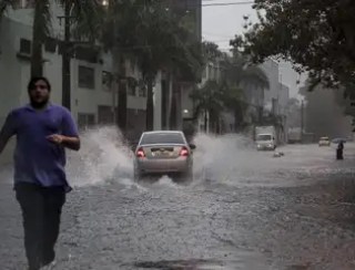 Chuvas fazem mais uma vítima em São Paulo com queda de árvore