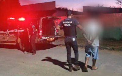 Homem é preso por homicídio em São Domingos-GO